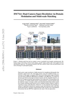 DM$^3$Net: Dual-Camera Super-Resolution via Domain Modulation and Multi-scale Matching