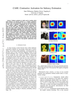 CASE: Contrastive Activation for Saliency Estimation