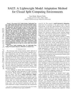 SALT: A Lightweight Model Adaptation Method for Closed Split Computing Environments