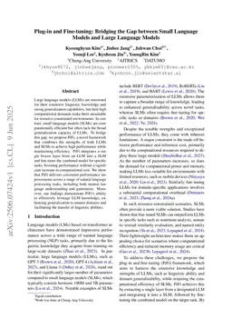 Plug-in and Fine-tuning: Bridging the Gap between Small Language Models and Large Language Models