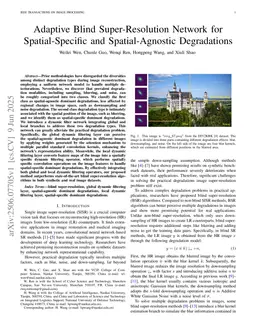 Adaptive Blind Super-Resolution Network for Spatial-Specific and Spatial-Agnostic Degradations