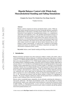 Bipedal Balance Control with Whole-body Musculoskeletal Standing and Falling Simulations