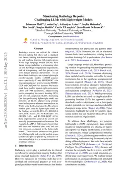 Structuring Radiology Reports: Challenging LLMs with Lightweight Models