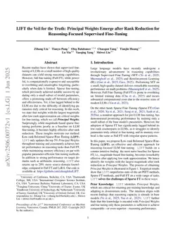 LIFT the Veil for the Truth: Principal Weights Emerge after Rank Reduction for Reasoning-Focused Supervised Fine-Tuning