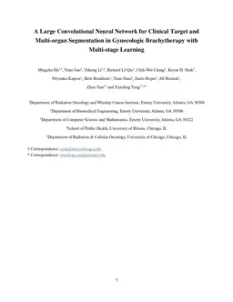 A Large Convolutional Neural Network for Clinical Target and Multi-organ Segmentation in Gynecologic Brachytherapy with Multi-stage Learning