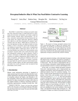 Perceptual Inductive Bias Is What You Need Before Contrastive Learning