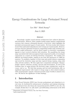 Energy Considerations for Large Pretrained Neural Networks