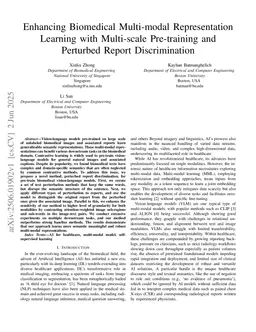 Enhancing Biomedical Multi-modal Representation Learning with Multi-scale Pre-training and Perturbed Report Discrimination