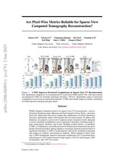 Are Pixel-Wise Metrics Reliable for Sparse-View Computed Tomography Reconstruction?