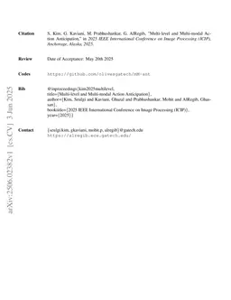 Multi-level and Multi-modal Action Anticipation