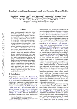 Pruning General Large Language Models into Customized Expert Models