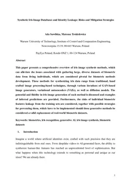 Synthetic Iris Image Databases and Identity Leakage: Risks and Mitigation Strategies