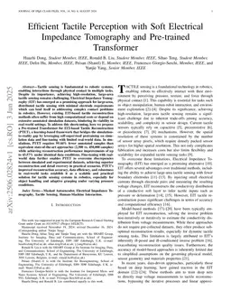 Efficient Tactile Perception with Soft Electrical Impedance Tomography and Pre-trained Transformer