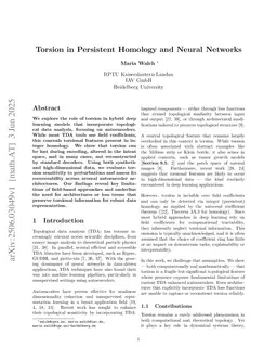 Torsion in Persistent Homology and Neural Networks