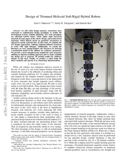 Design of Trimmed Helicoid Soft-Rigid Hybrid Robots
