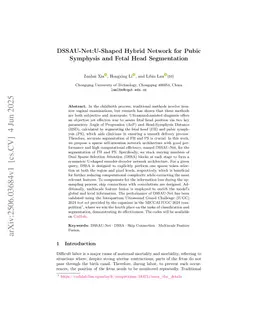 DSSAU-Net:U-Shaped Hybrid Network for Pubic Symphysis and Fetal Head Segmentation