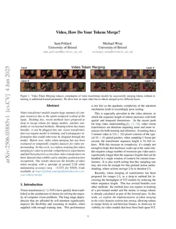 Video, How Do Your Tokens Merge?