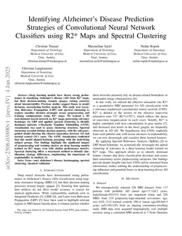 Identifying Alzheimer's Disease Prediction Strategies of Convolutional Neural Network Classifiers using R2* Maps and Spectral Clustering