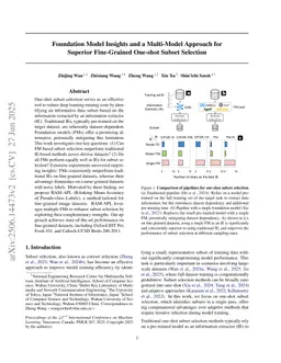 Foundation Model Insights and a Multi-Model Approach for Superior Fine-Grained One-shot Subset Selection