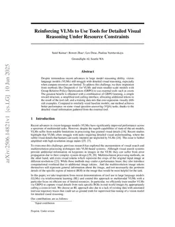 Reinforcing VLMs to Use Tools for Detailed Visual Reasoning Under Resource Constraints