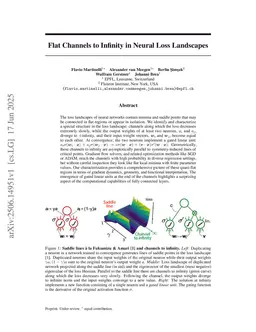 Flat Channels to Infinity in Neural Loss Landscapes