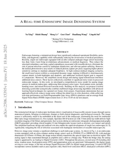 A Real-time Endoscopic Image Denoising System