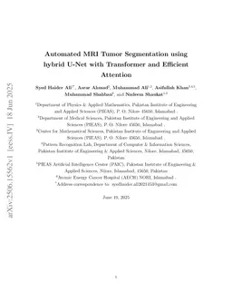 Automated MRI Tumor Segmentation using hybrid U-Net with Transformer and Efficient Attention