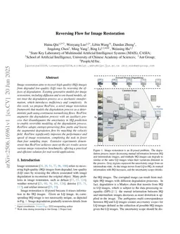 Reversing Flow for Image Restoration