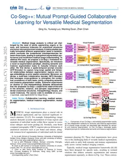 Co-Seg++: Mutual Prompt-Guided Collaborative Learning for Versatile Medical Segmentation