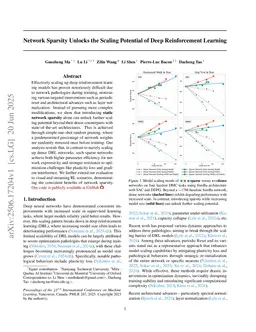 Network Sparsity Unlocks the Scaling Potential of Deep Reinforcement Learning