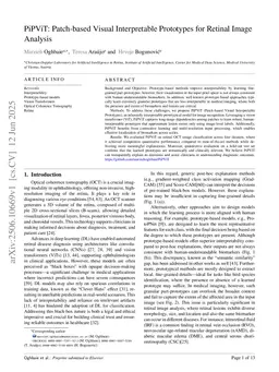 PiPViT: Patch-based Visual Interpretable Prototypes for Retinal Image Analysis