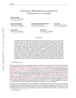 Continual Hyperbolic Learning of Instances and Classes