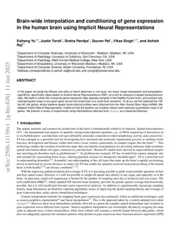Brain-wide interpolation and conditioning of gene expression in the human brain using Implicit Neural Representations