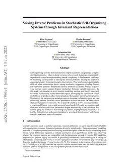 Solving Inverse Problems in Stochastic Self-Organizing Systems through Invariant Representations