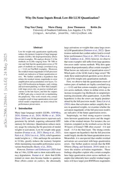 Why Do Some Inputs Break Low-Bit LLM Quantization?