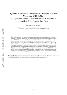 Quantum-Inspired Differentiable Integral Neural Networks (QIDINNs): A Feynman-Based Architecture for Continuous Learning Over Streaming Data