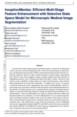InceptionMamba: Efficient Multi-Stage Feature Enhancement with Selective State Space Model for Microscopic Medical Image Segmentation