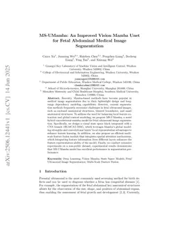 MS-UMamba: An Improved Vision Mamba Unet for Fetal Abdominal Medical Image Segmentation