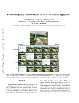 Benchmarking Image Similarity Metrics for Novel View Synthesis Applications