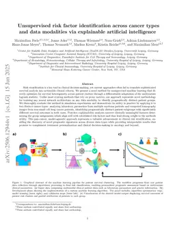 Unsupervised risk factor identification across cancer types and data modalities via explainable artificial intelligence