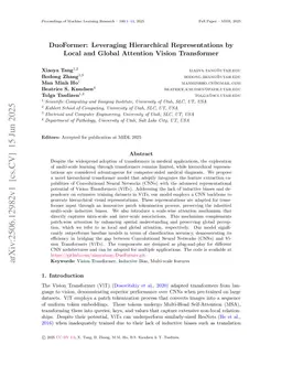 DuoFormer: Leveraging Hierarchical Representations by Local and Global Attention Vision Transformer