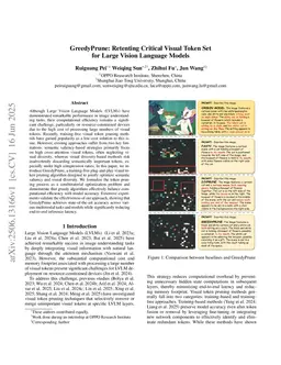GreedyPrune: Retenting Critical Visual Token Set for Large Vision Language Models