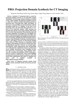 PRO: Projection Domain Synthesis for CT Imaging