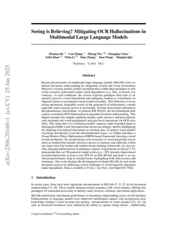 Seeing is Believing? Mitigating OCR Hallucinations in Multimodal Large Language Models