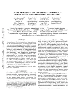 Colorectal Cancer Tumor Grade Segmentation in Digital Histopathology Images: From Giga to Mini Challenge