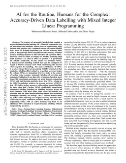 Effort-Optimized, Accuracy-Driven Labelling and Validation of Test Inputs for DL Systems: A Mixed-Integer Linear Programming Approach