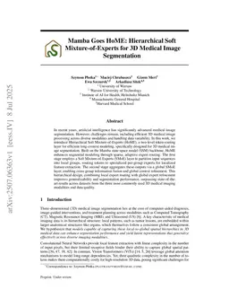 Mamba Goes HoME: Hierarchical Soft Mixture-of-Experts for 3D Medical Image Segmentation