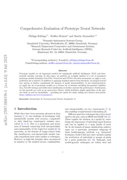 Comprehensive Evaluation of Prototype Neural Networks