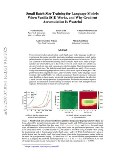 Small Batch Size Training for Language Models: When Vanilla SGD Works, and Why Gradient Accumulation Is Wasteful
