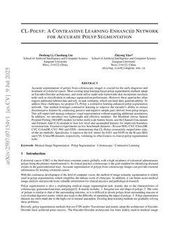 CL-Polyp: A Contrastive Learning-Enhanced Network for Accurate Polyp Segmentation